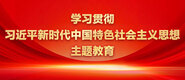 大鸡吧操美女学习贯彻习近平新时代中国特色社会主义思想主题教育_fororder_ad-371X160(2)